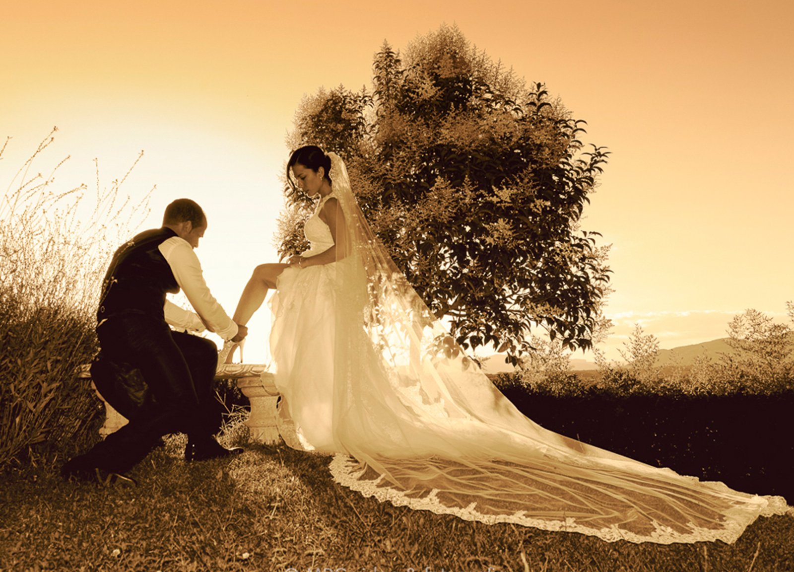 Sesión de Fotos para Bodas