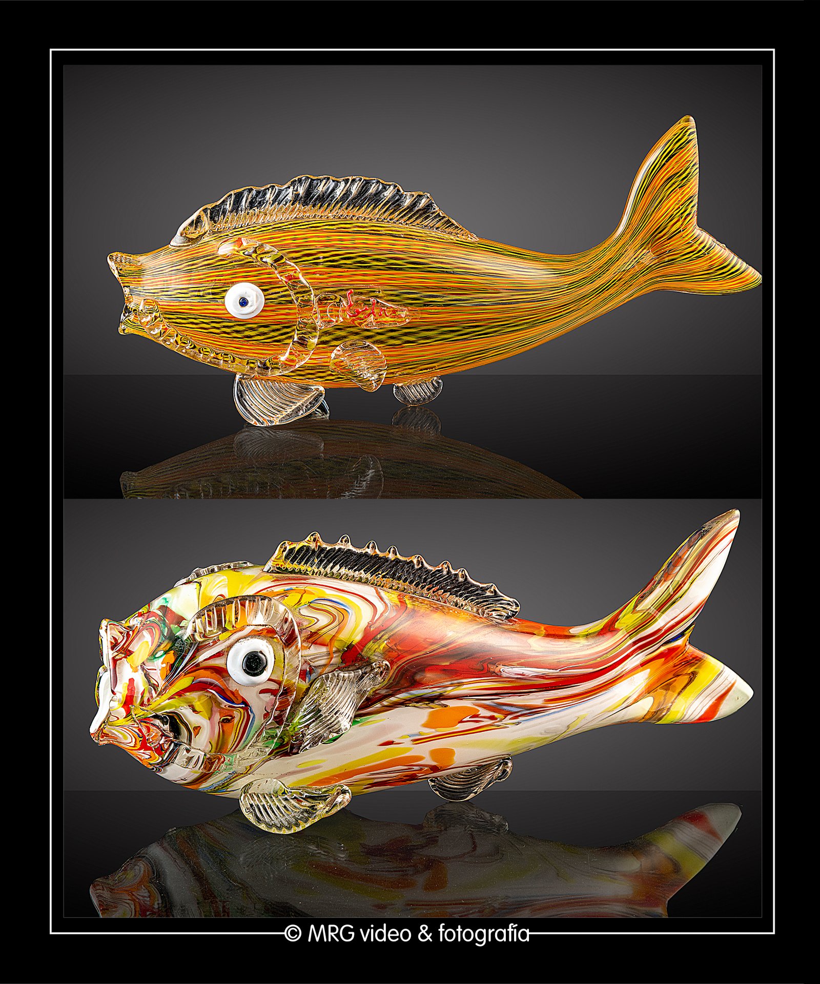 MRGFOTO PRODUCTO-014